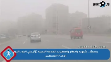 رسميًا.. شبورة وأمطار واضطراب الملاحة البحرية تؤثر على البلاد اليوم الأحد 17 أغسطس